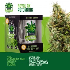 IGROWCAN - Royal AK Automatic